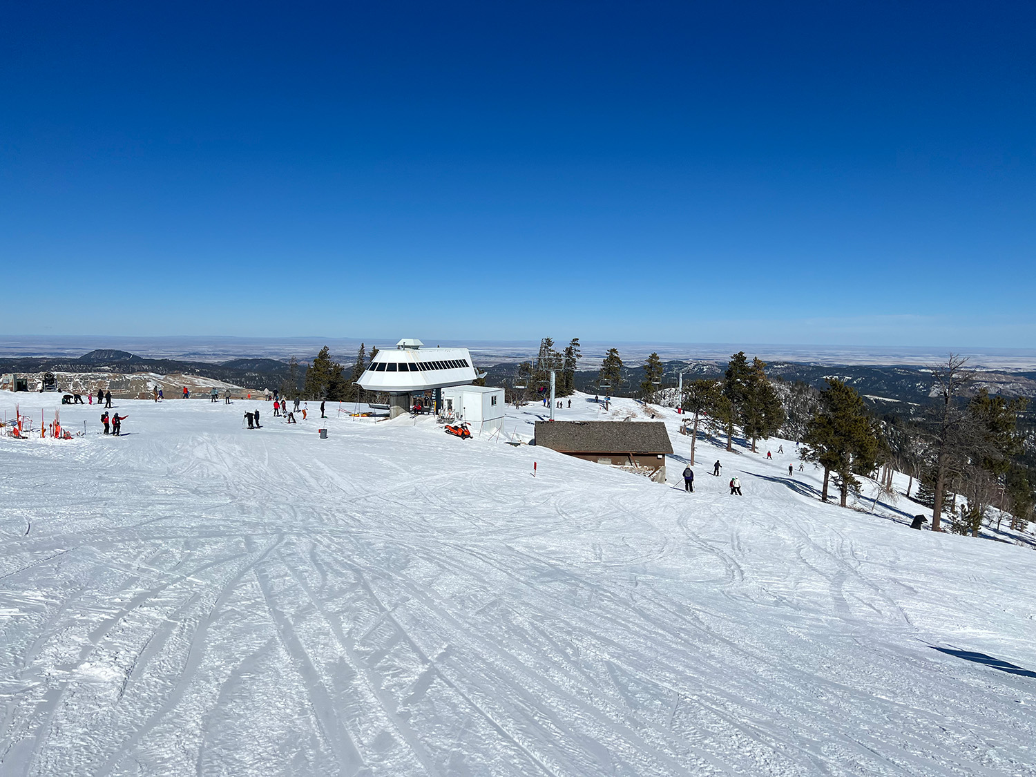 Greetings from Terry Peak